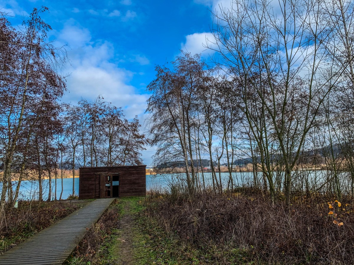 Amay : une balade de 3km pour un dépaysement total au lac de la&nbsp;gravière