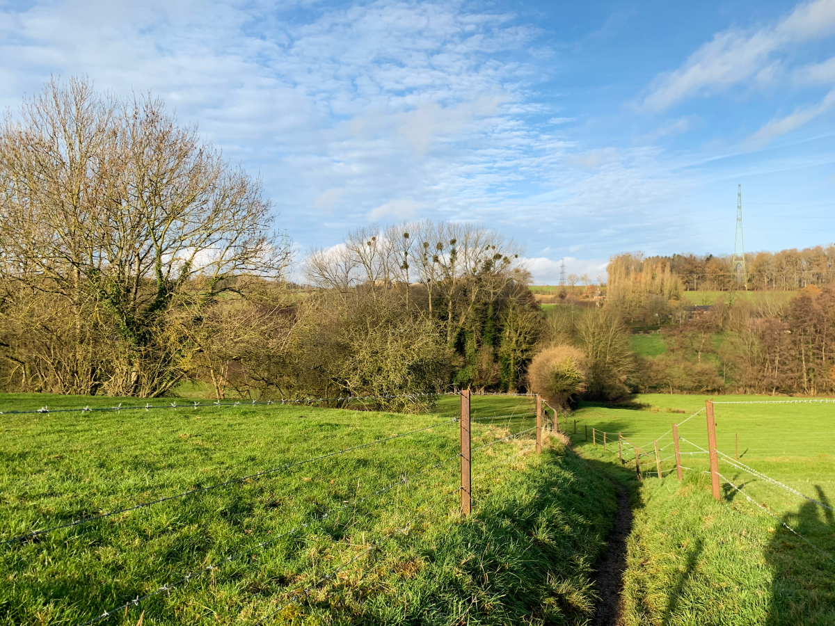 Villers-le-Temple : à la découverte du bois et des petits sentiers du&nbsp;village