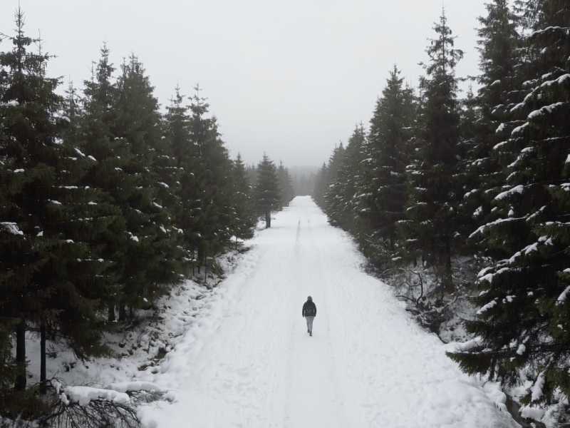 Saint-Hubert : découverte de la ville et de ses magnifiques bois&nbsp;!