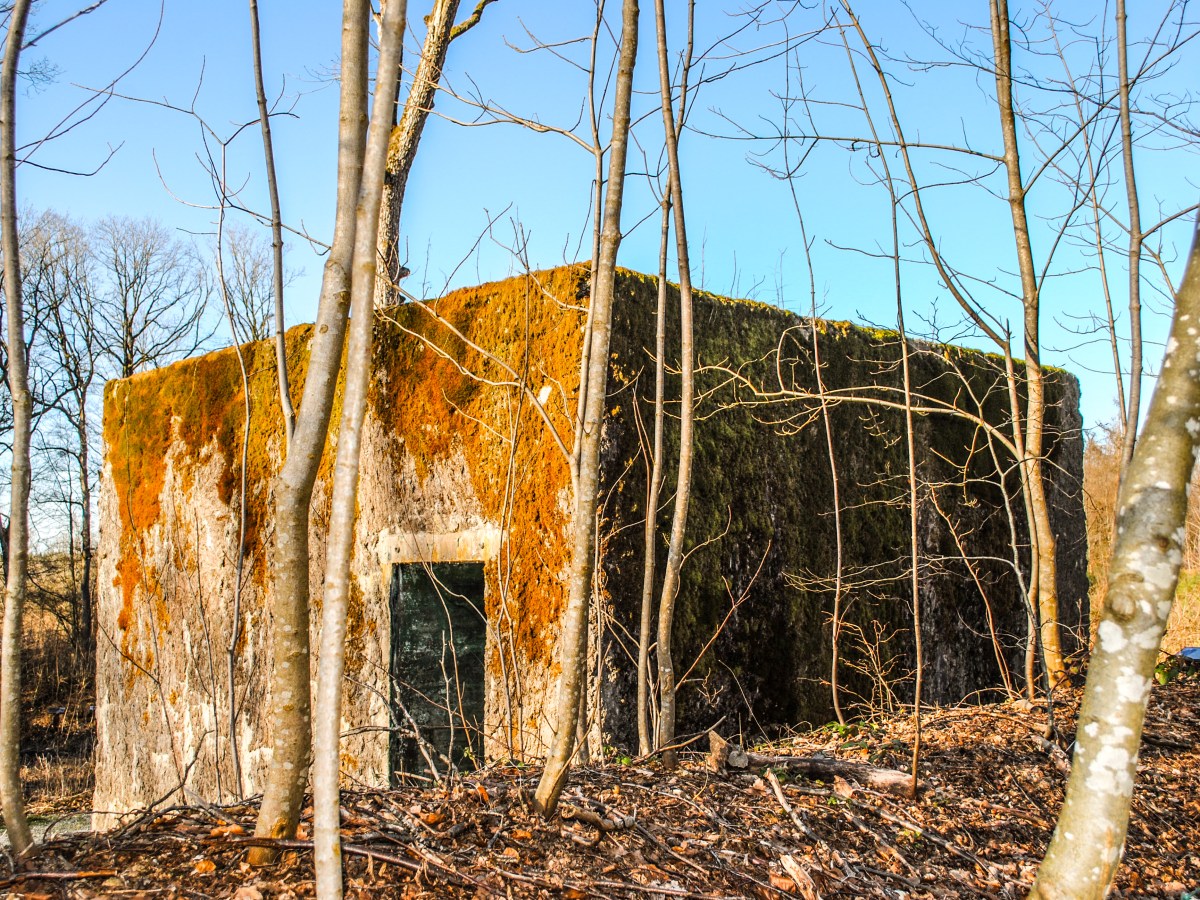 Brûly-de-Pesche (Couvin) : balade dans les bois en passant devant le Bunker&nbsp;d&rsquo;Hitler
