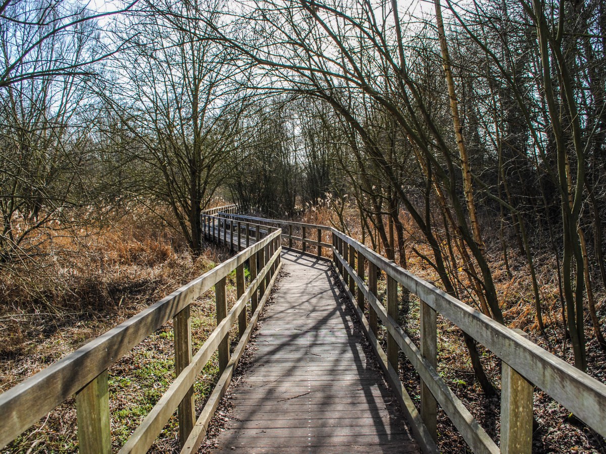 Waremme : la promenade du Wachnet idéale pour les&nbsp;enfants